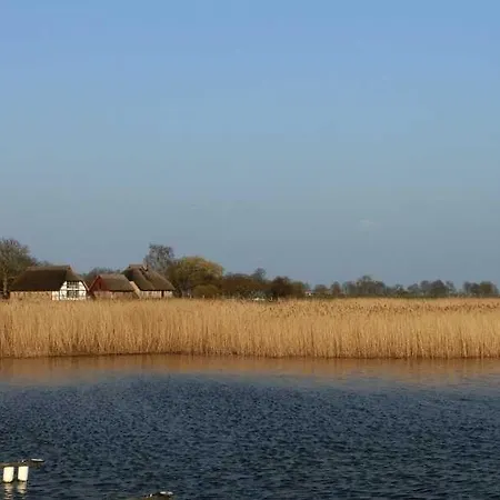 Reetdachhaus Malve 3 Im Puddeminer Wiek Puddemin