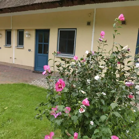 Prázdninový dům Reetdachhaus Malve 3 Im Puddeminer Wiek